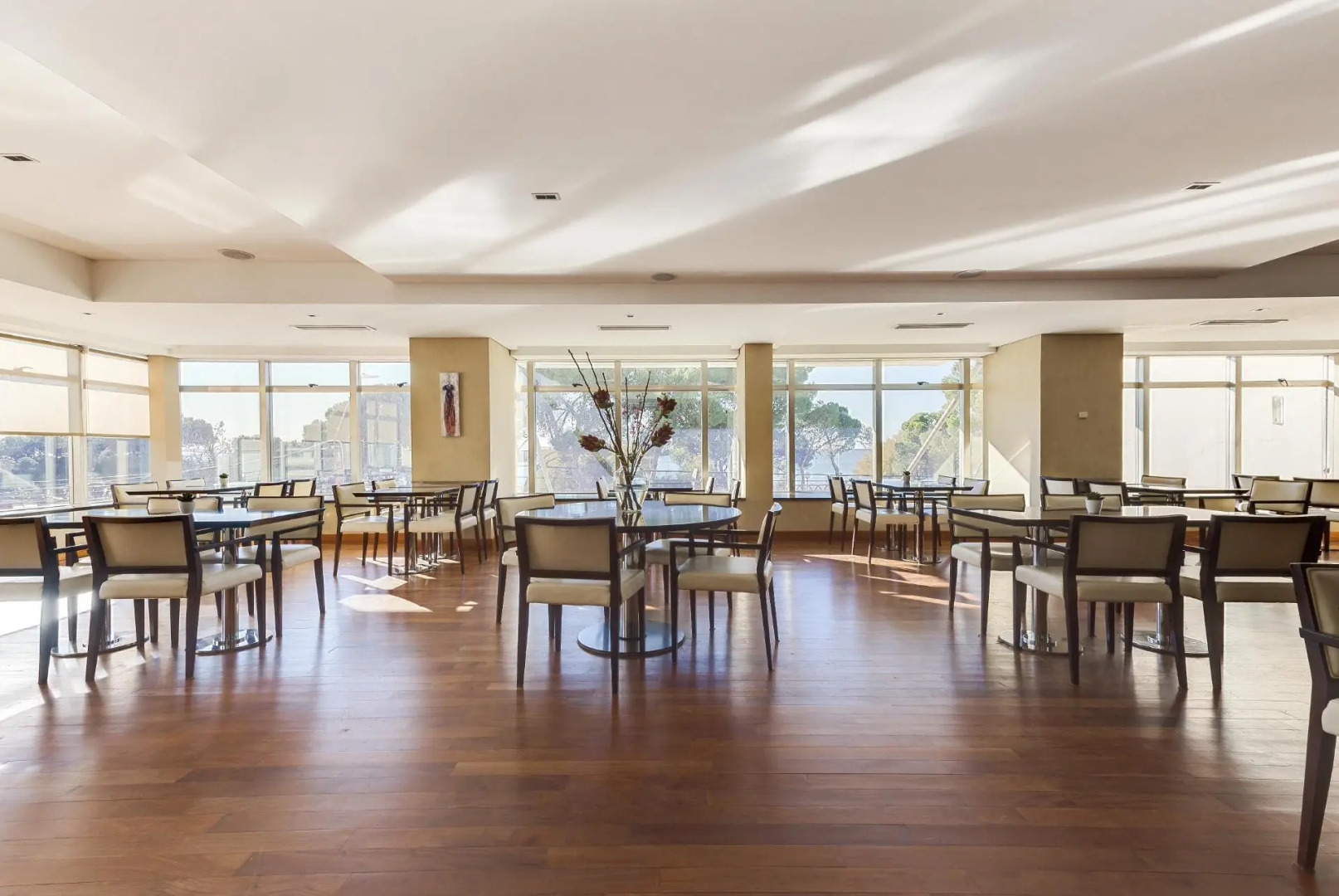 Foto - Peninsula Valdes