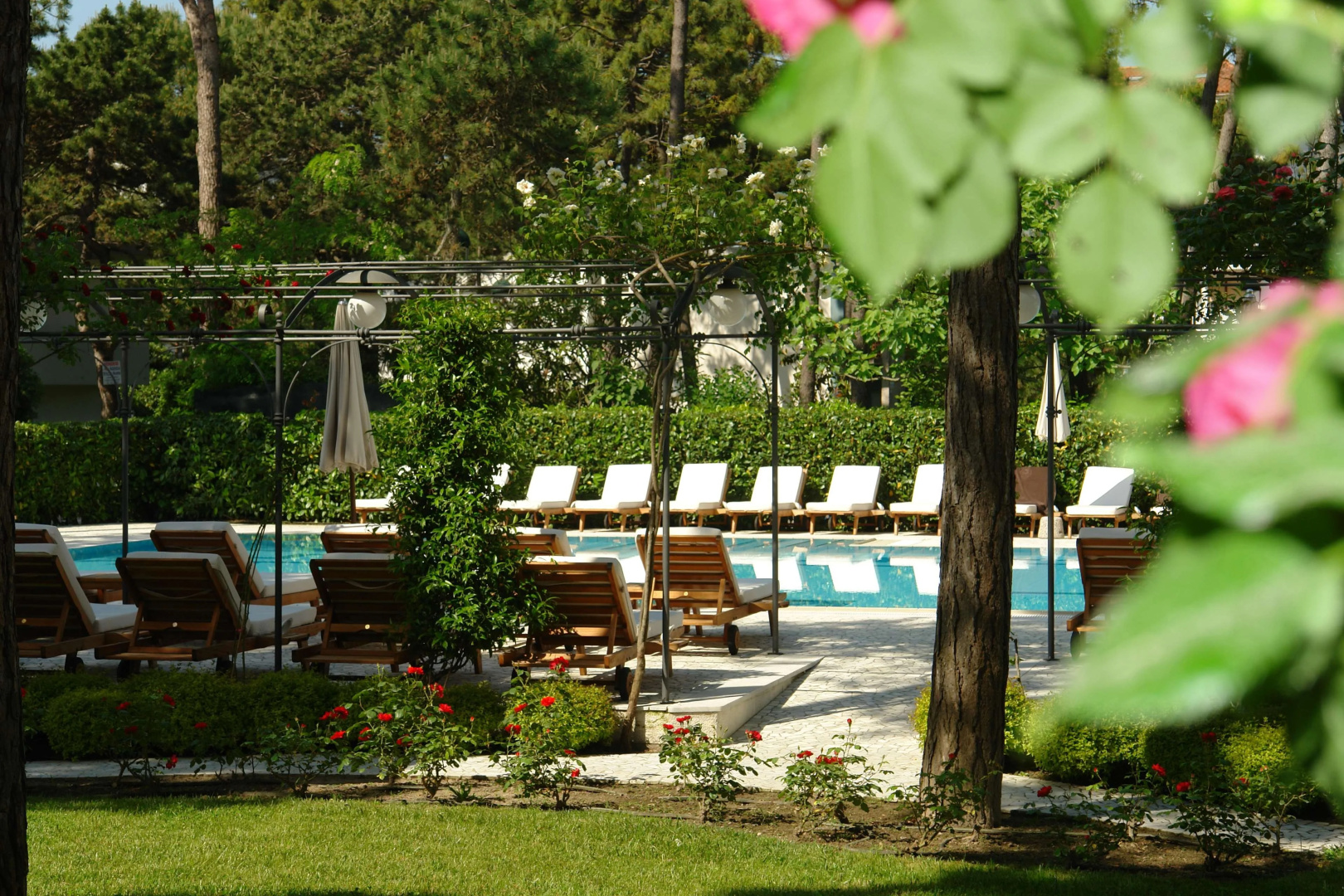 Foto - Hotel Greif