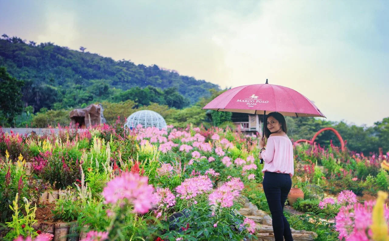 Foto - Marco Polo Plaza Cebu