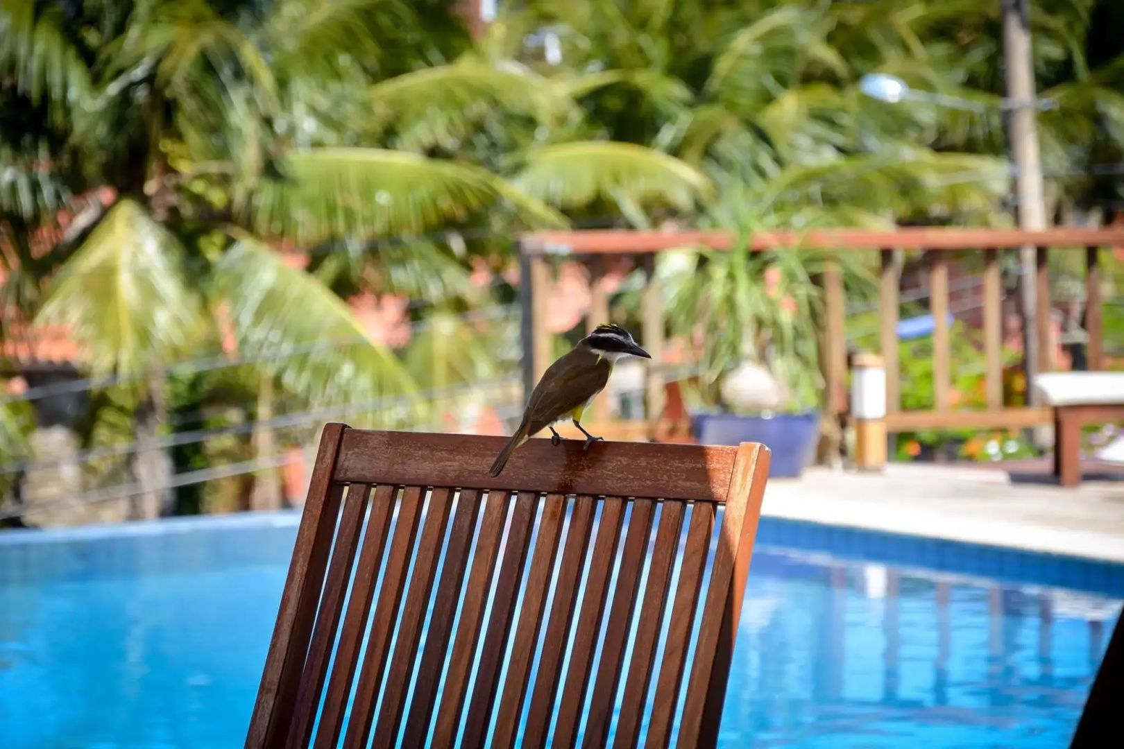 Foto - Bahiamarela Boutique Hotel & SPA