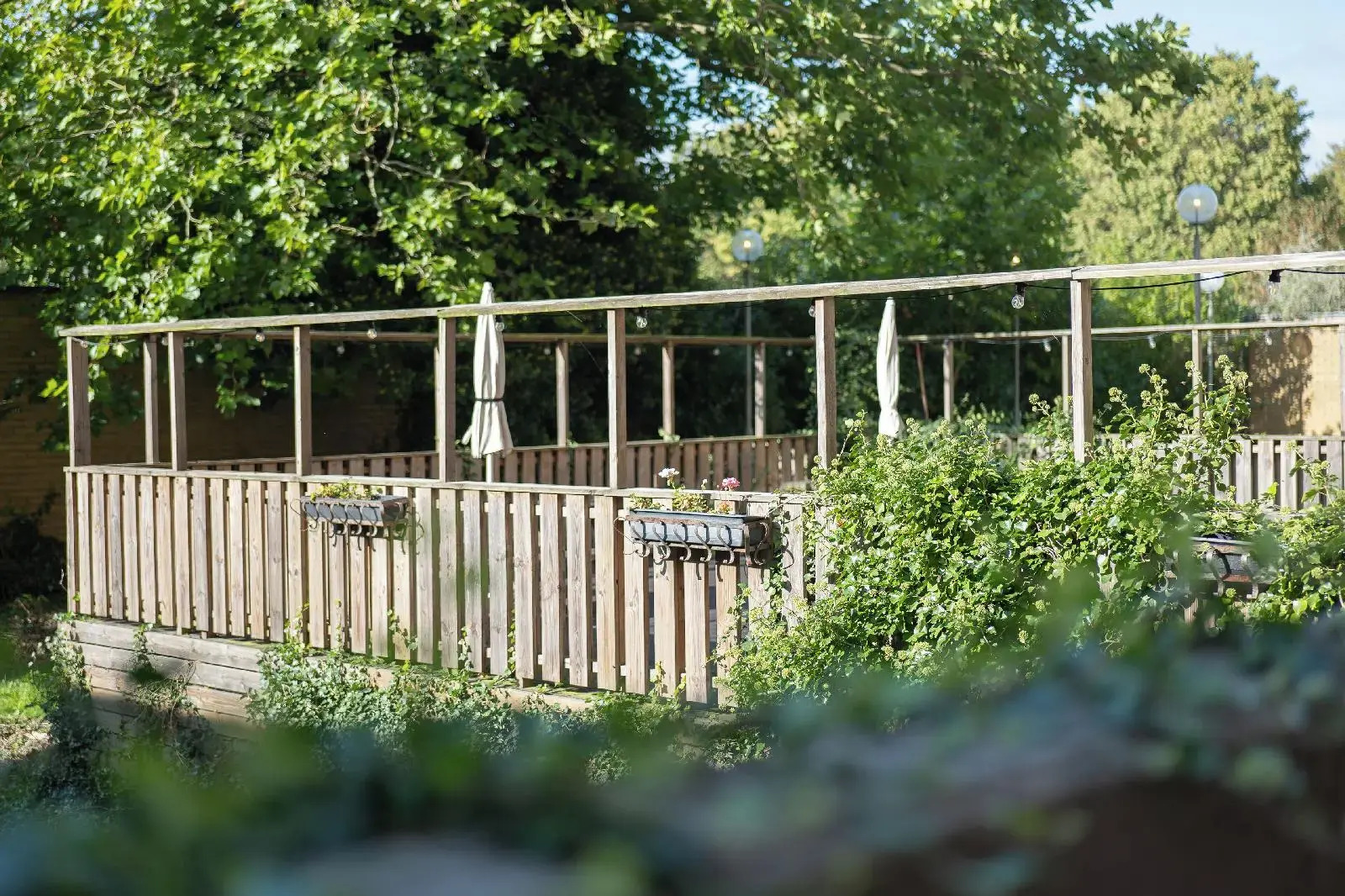 Foto - Good Morning+ Malmö