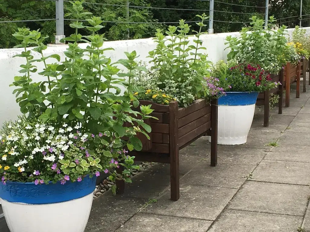 Foto - Hotel Ulmer Stuben