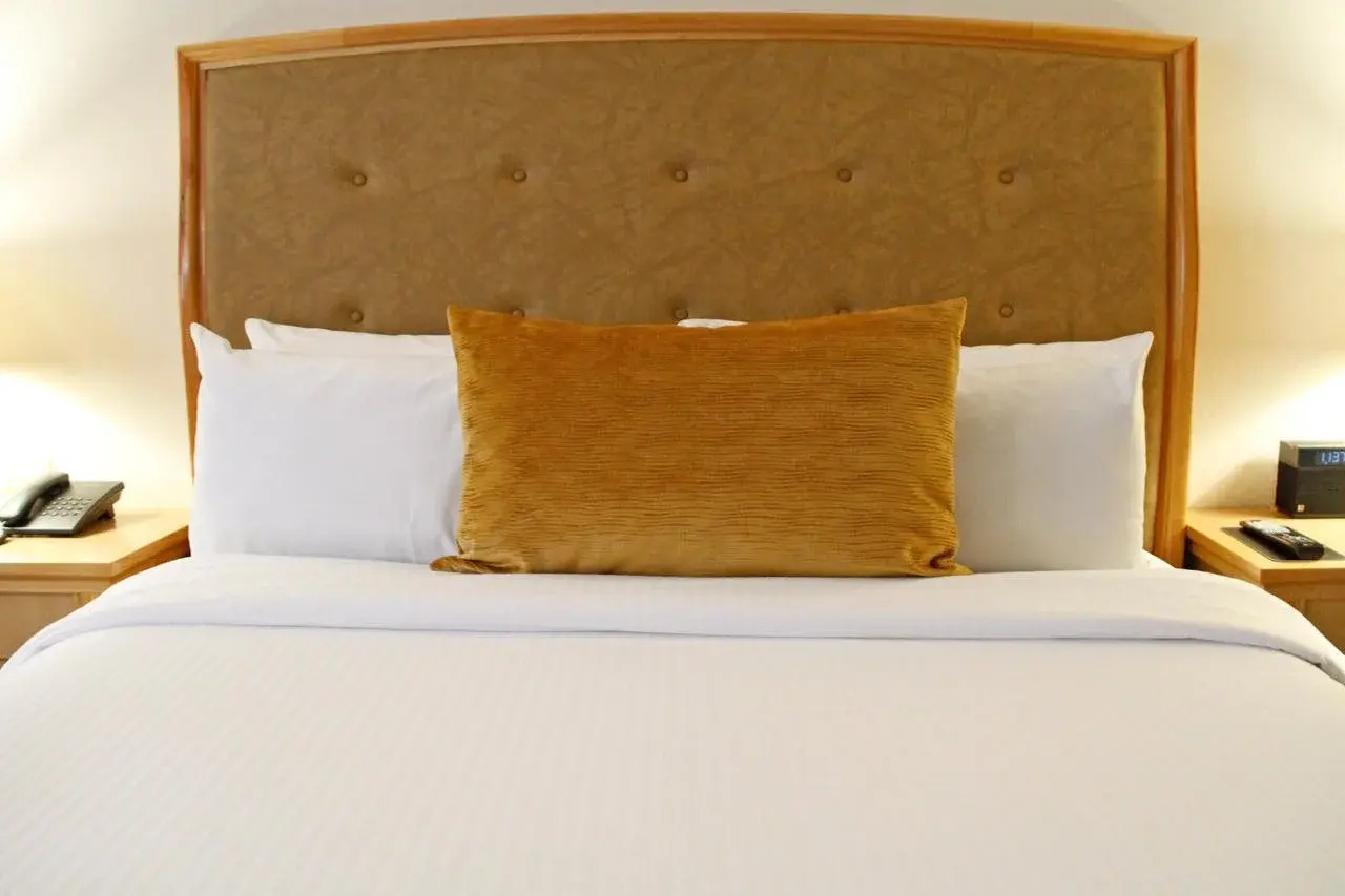 Foto - Hotel Riazor Aeropuerto