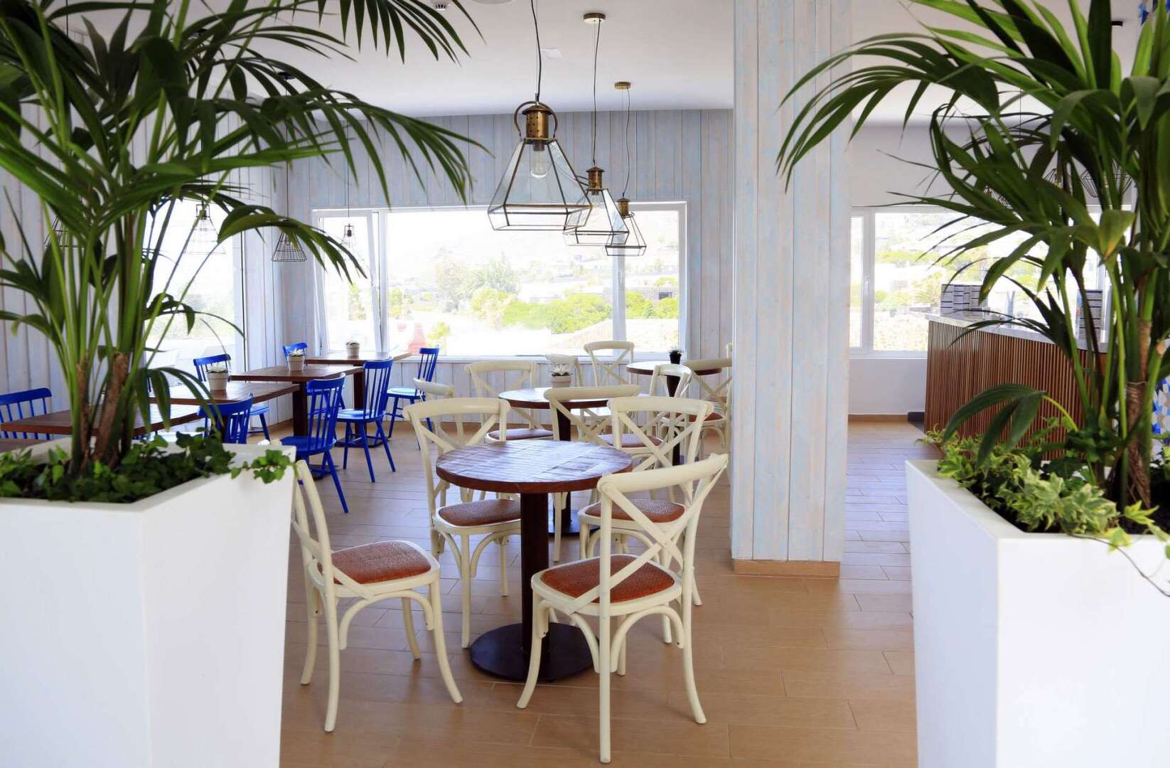 Foto - BLUESEA Alyssa Suite Hotel