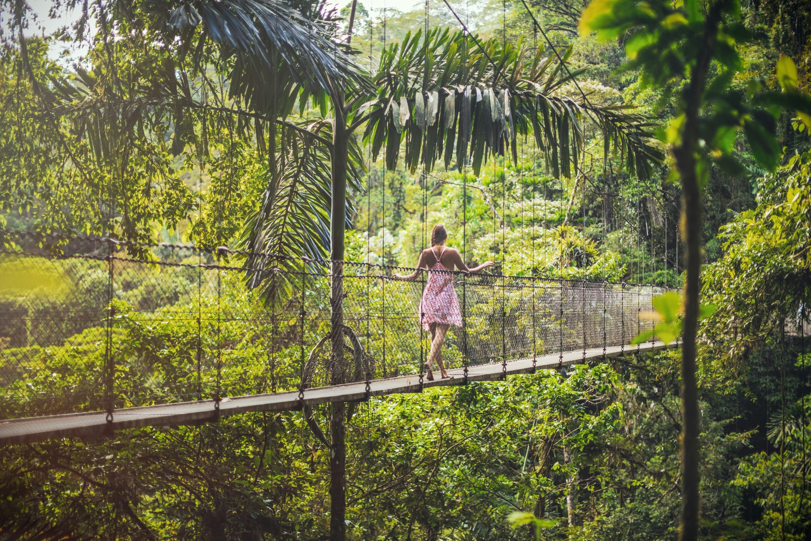 Nayara Tented Camp, Bild 19 von 27