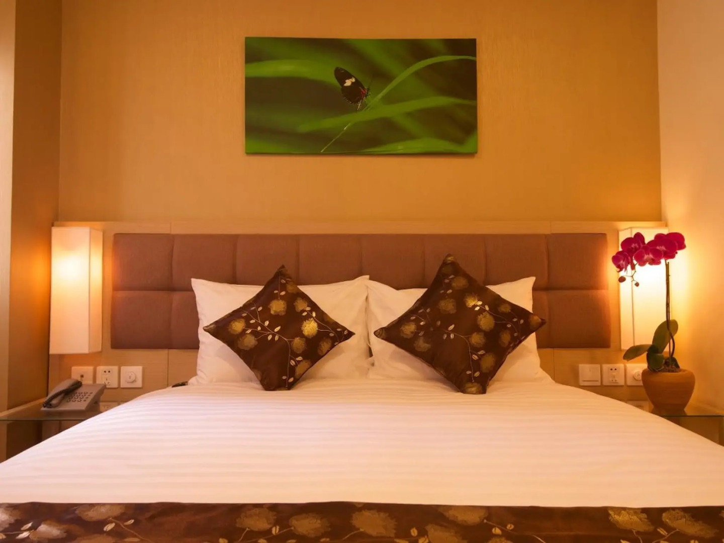 Foto - GK Central Hotel