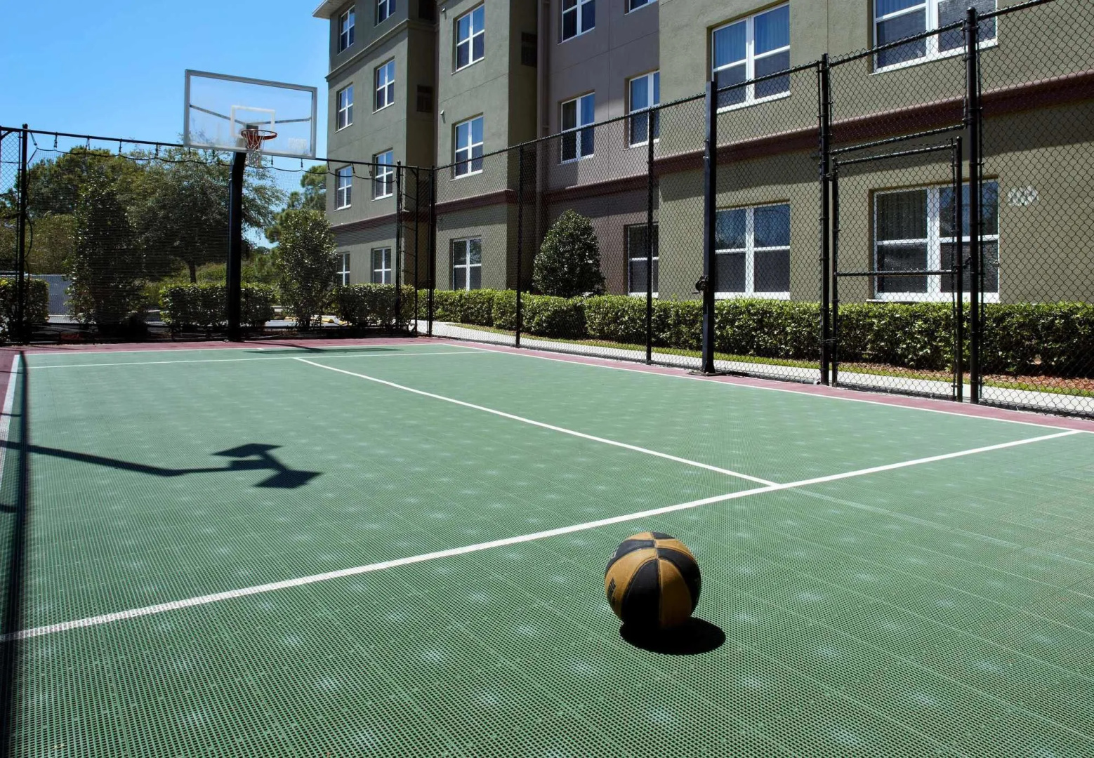 Foto - Residence Inn Tampa Oldsmar