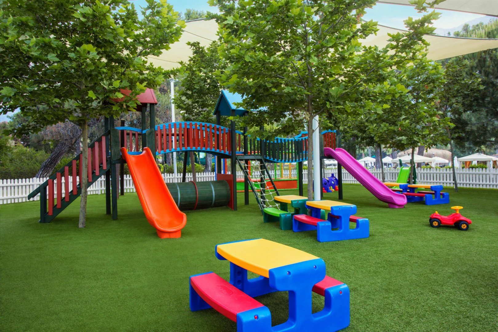 Photo - Balmy Foresta