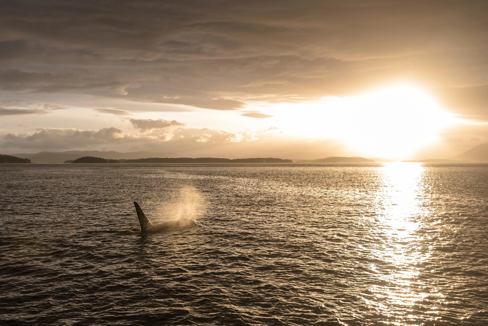 Photo - Holiday Inn Victoria Elk Lake by IHG