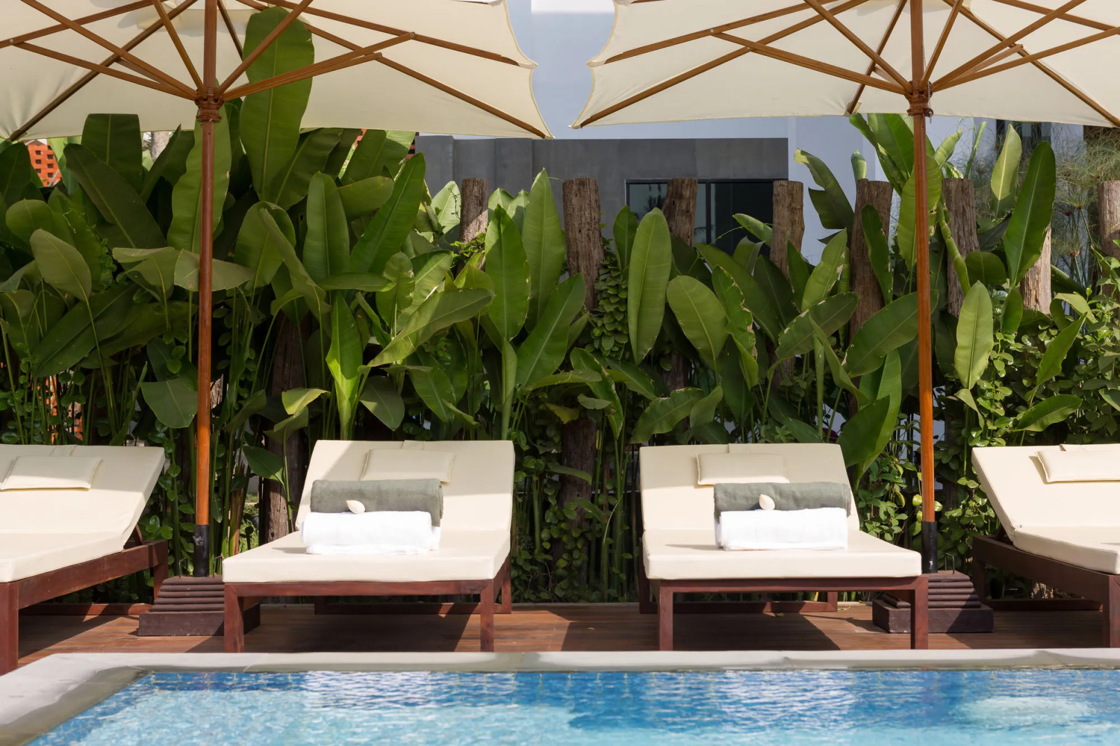 Foto - Shintana Saya Residence