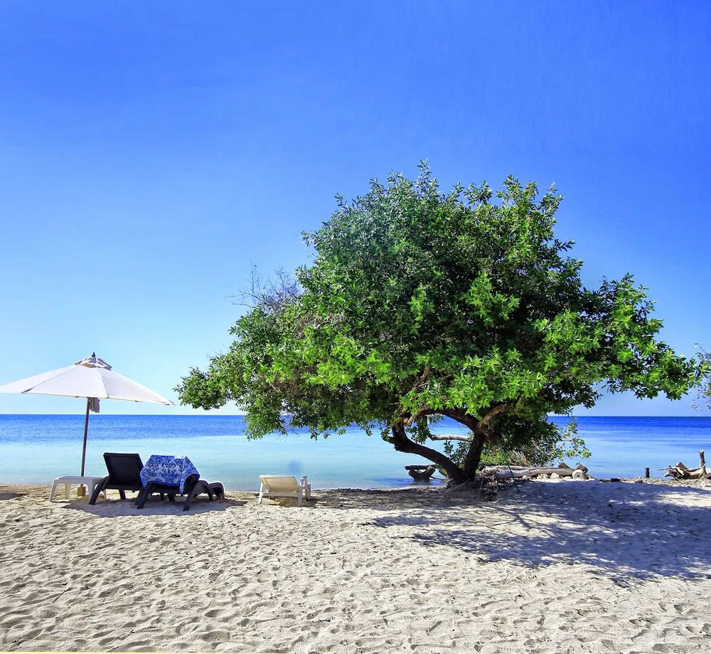 Foto - SABAI Beach Hotel