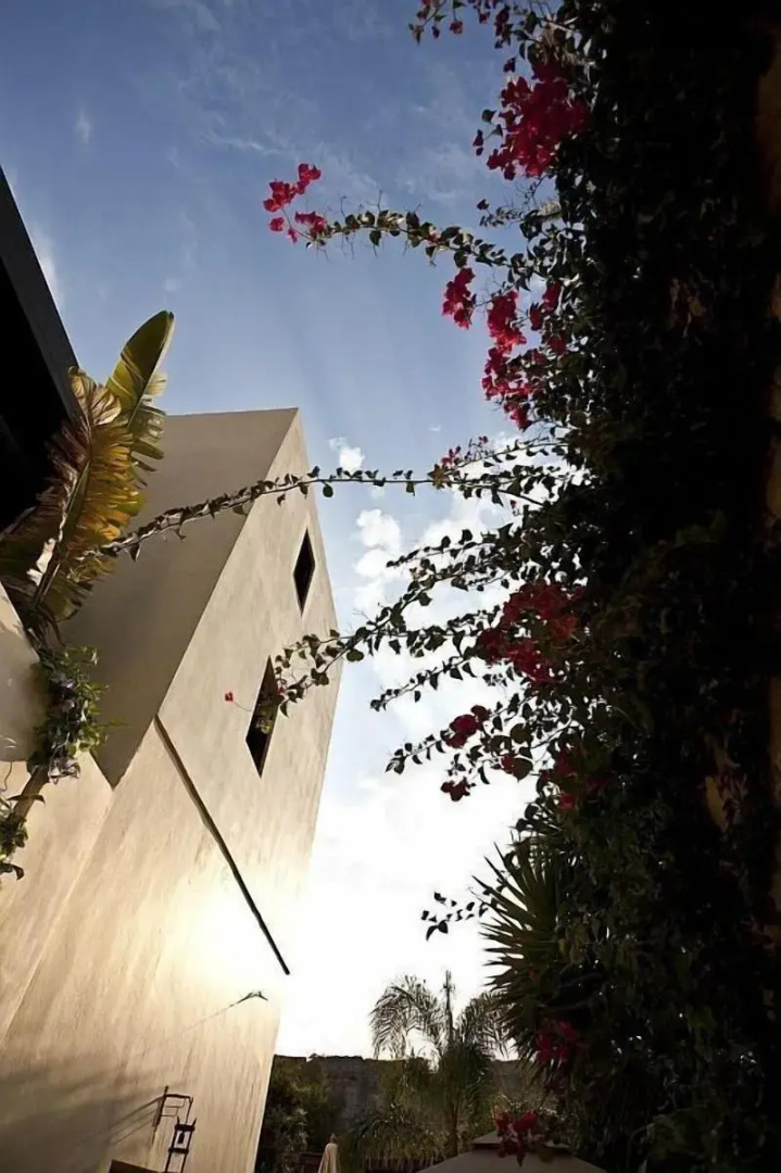 Photo - Spirit Of The Knights Boutique Hotel