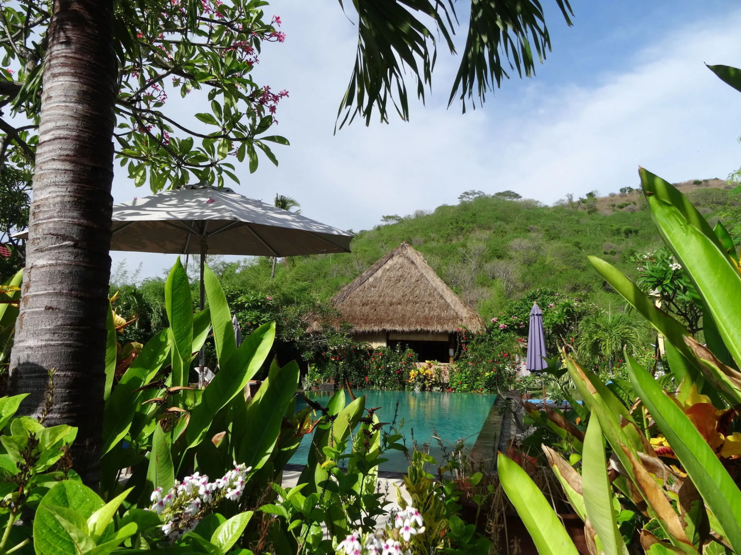 Foto - Sunia Loka Bungalows & Dive Center