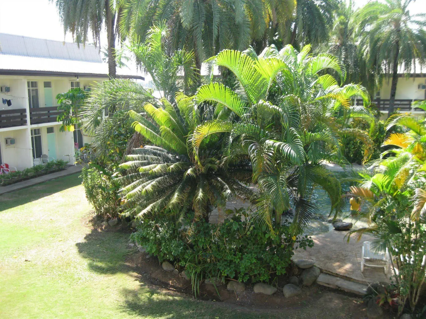 Foto - Hotel Oasis