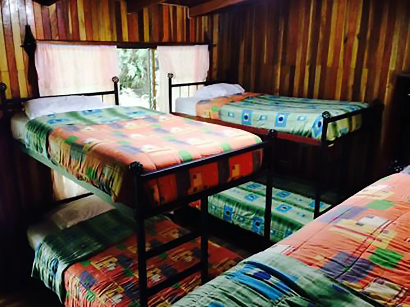 Foto - Jaguarundi Lodge