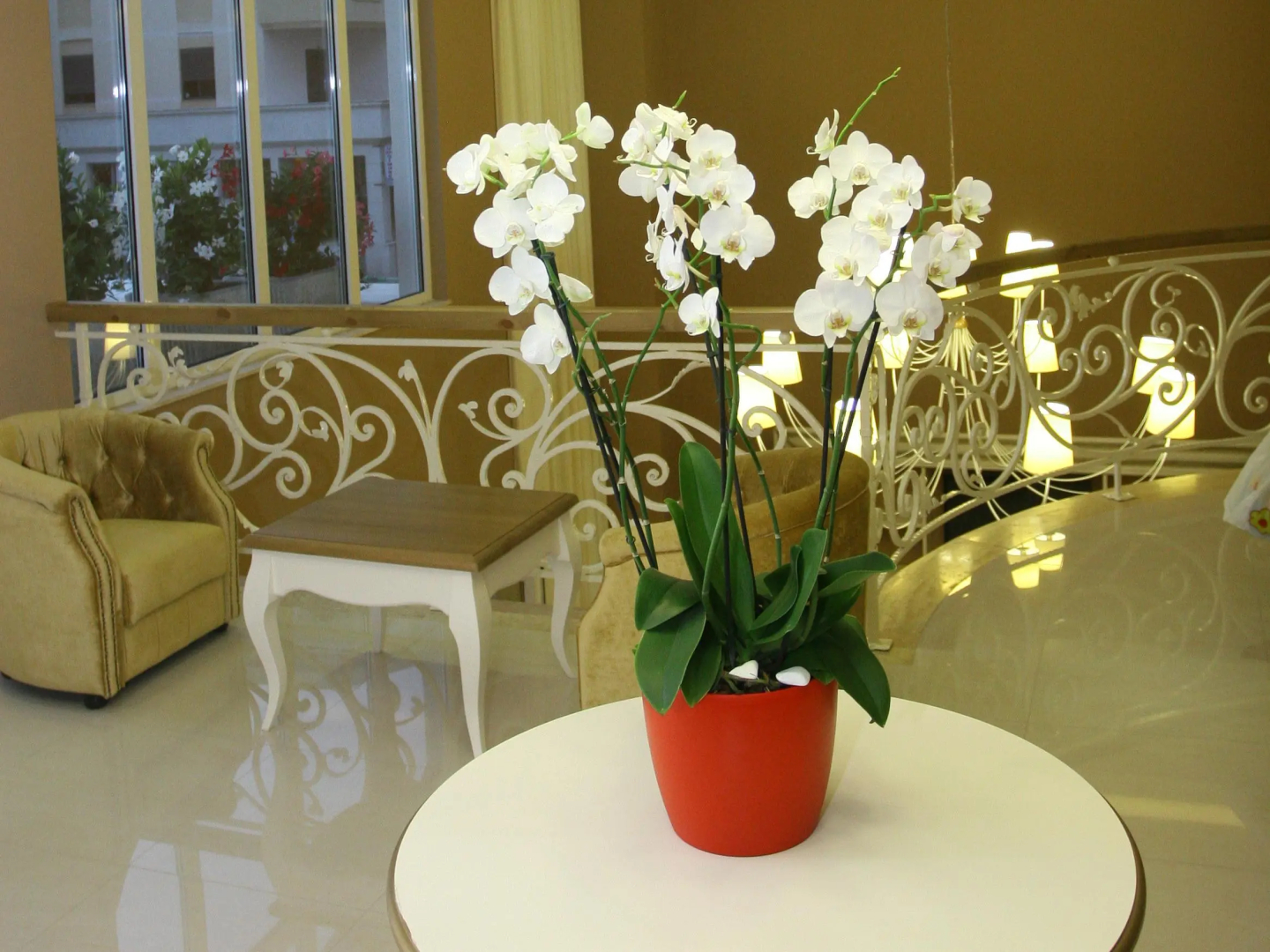 Foto - Palace Hotel & SPA
