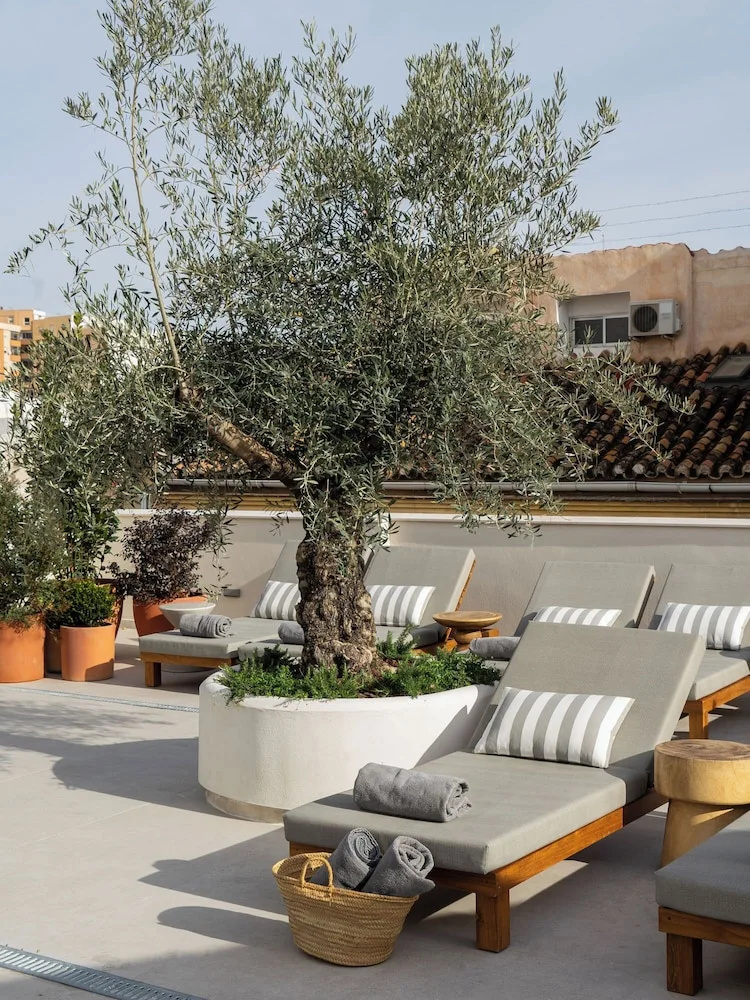 Foto - Hotel Well and Come Malaga