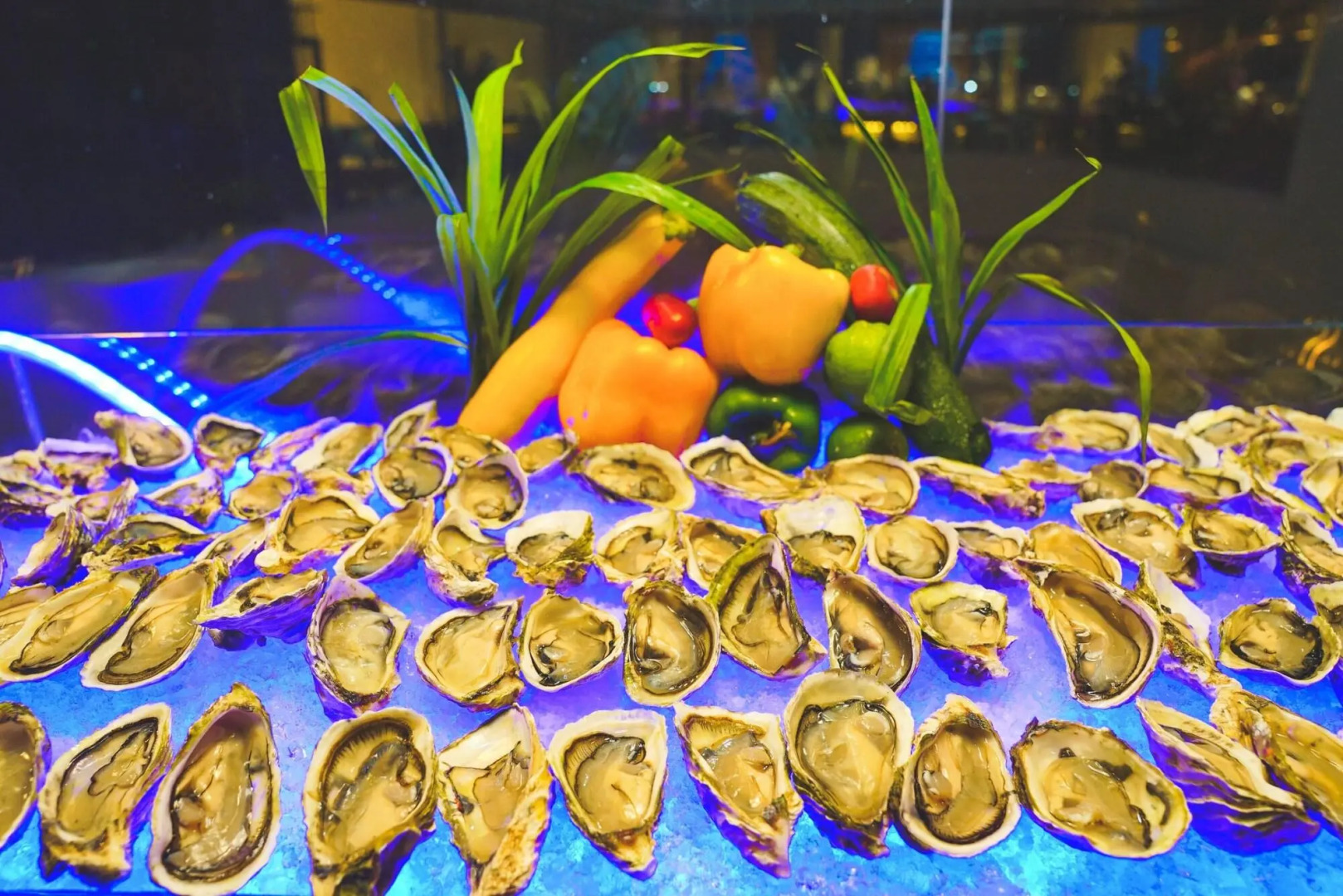 Photo - La Vela Saigon Hotel