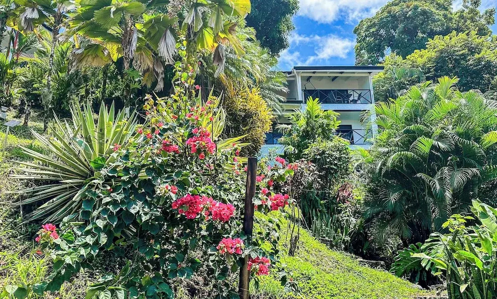 Foto - Villa Roca Boutique Resort & Suites - ADULT ONLY