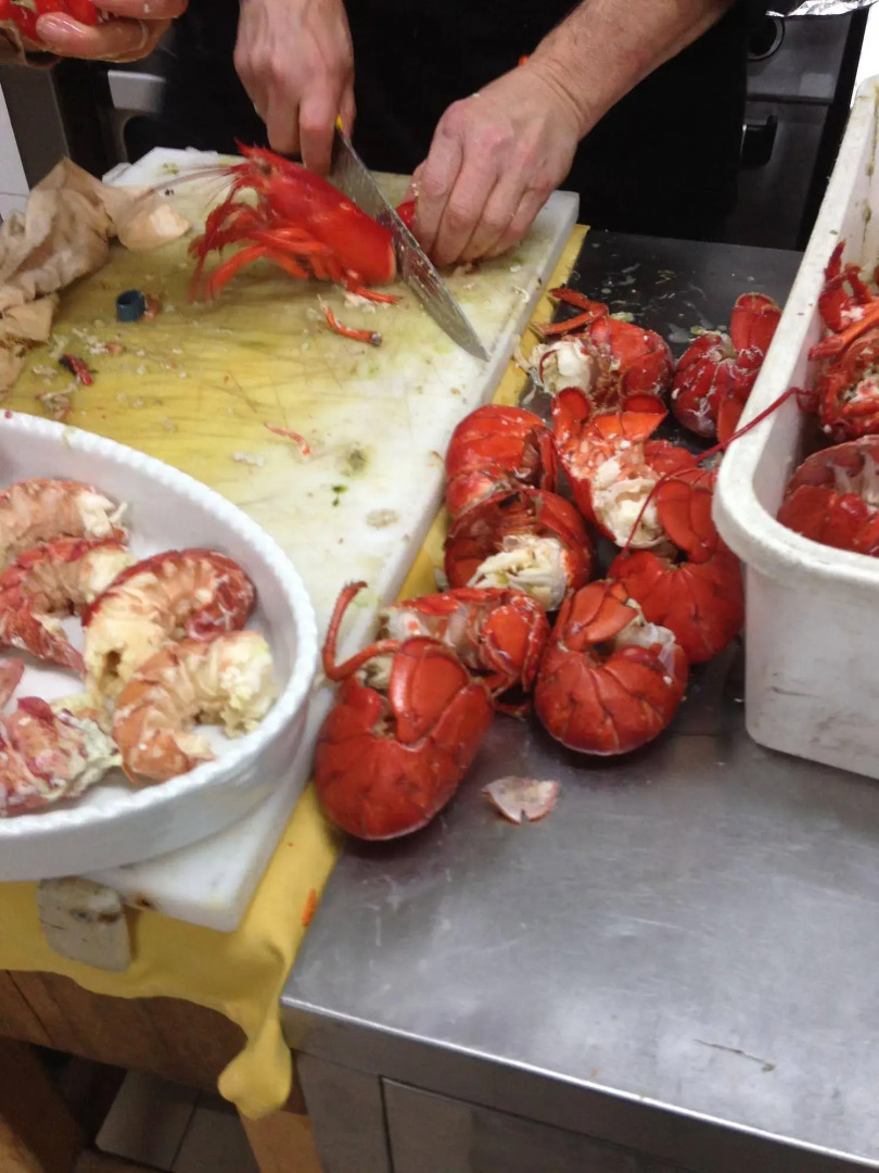 Foto - Hotel Mediterraneo