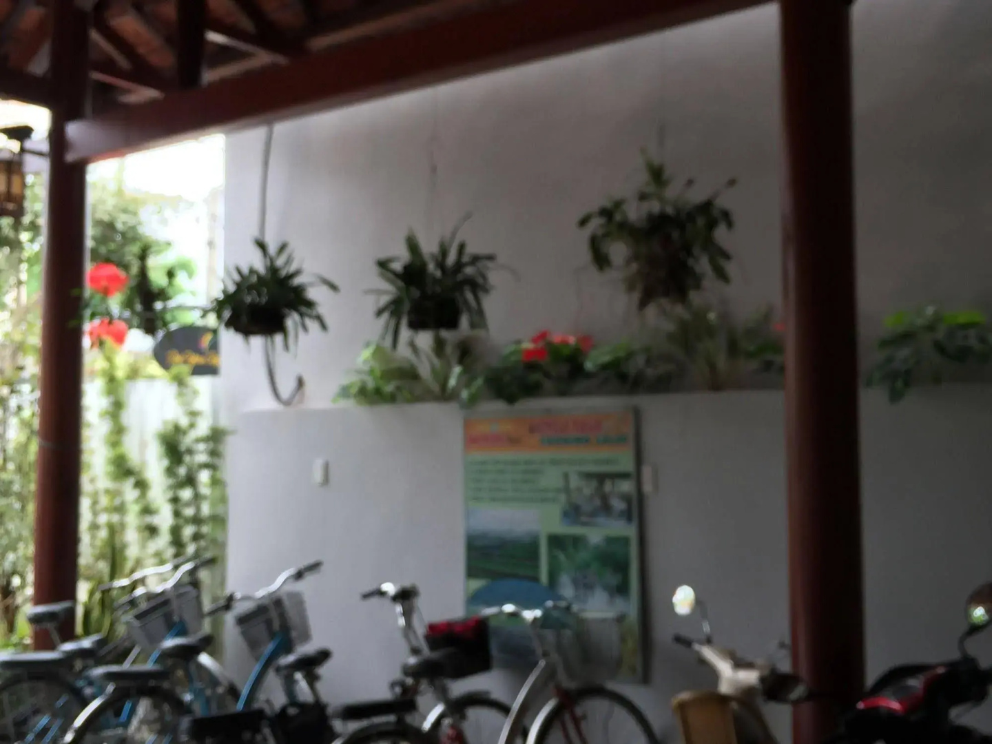 Photo - Tue Tam Garden Villa