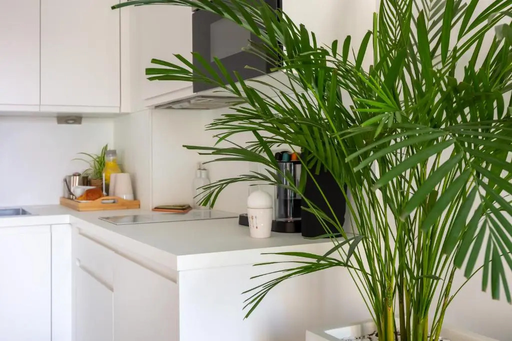 Foto - Traverse Des Artistes