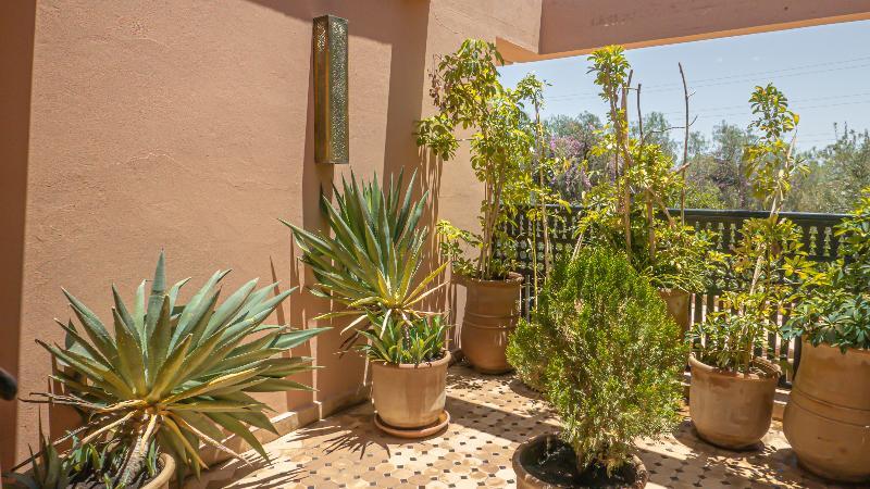 Photo - Palais Mirage d'Atlas, Suites de Luxe & Spa