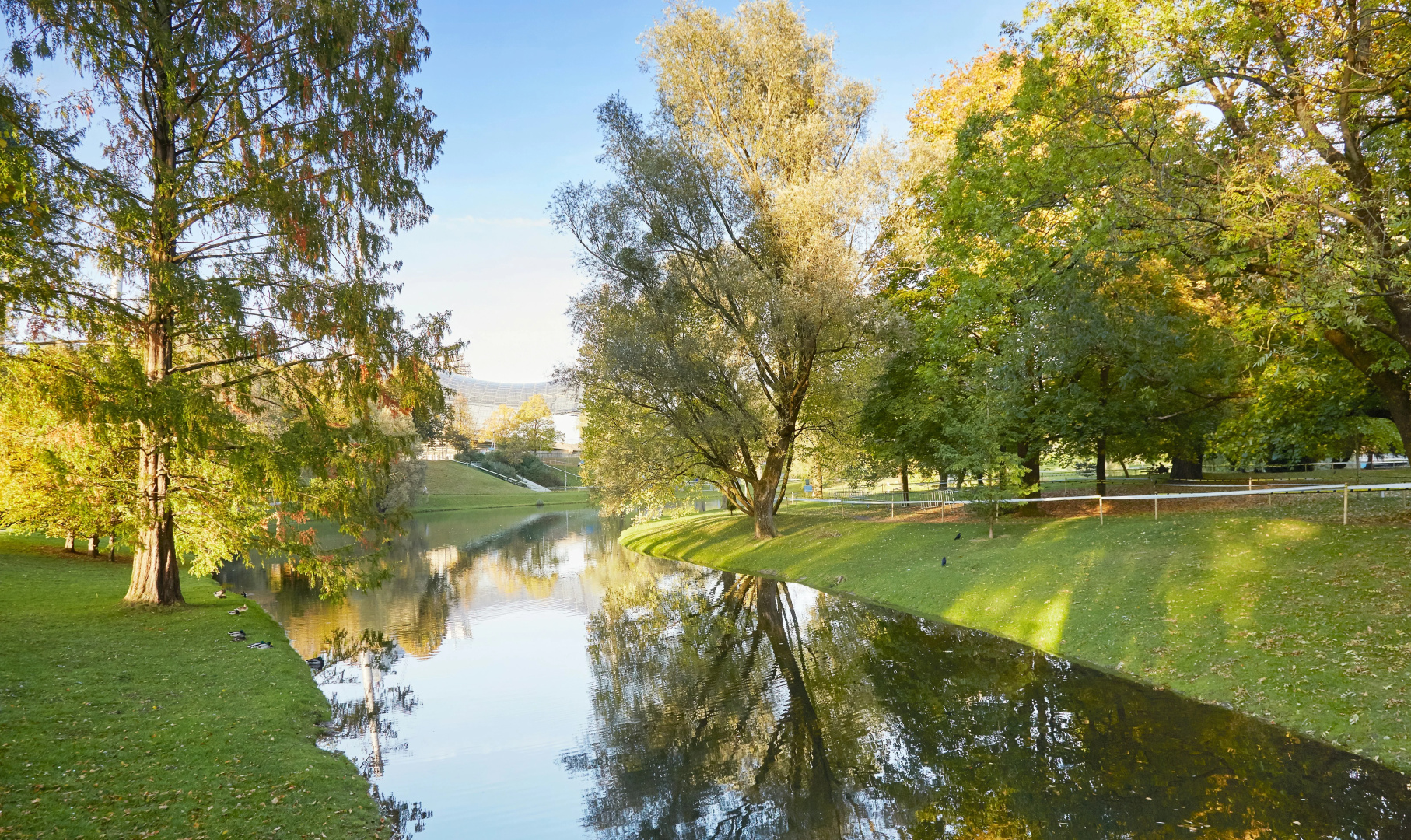 Photo - Living Hotel am Olympiapark