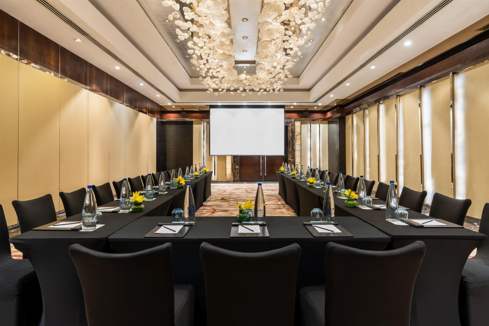 Photo - Radisson Blu Plaza Delhi Airport