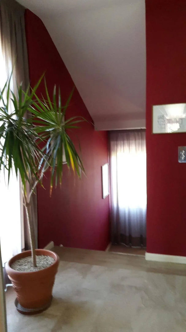 Foto - Hotel Mediterraneo