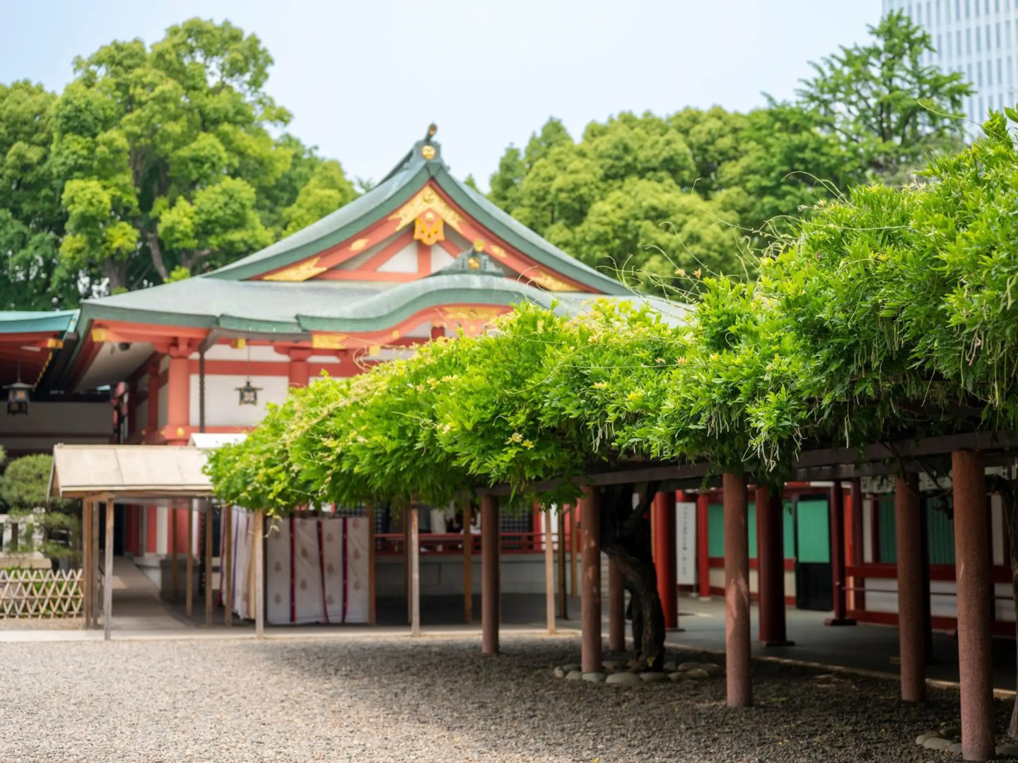 Foto - COCOSHUKU AKASAKA Premium