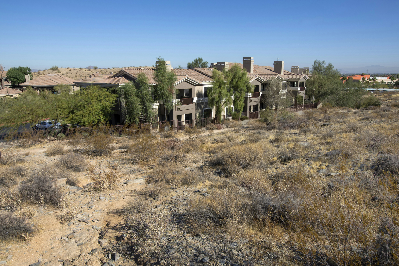 Photo - Raintree at Phoenix South Mountain Preserve