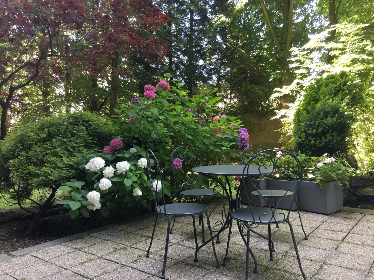 Foto - First Euroflat Hotel