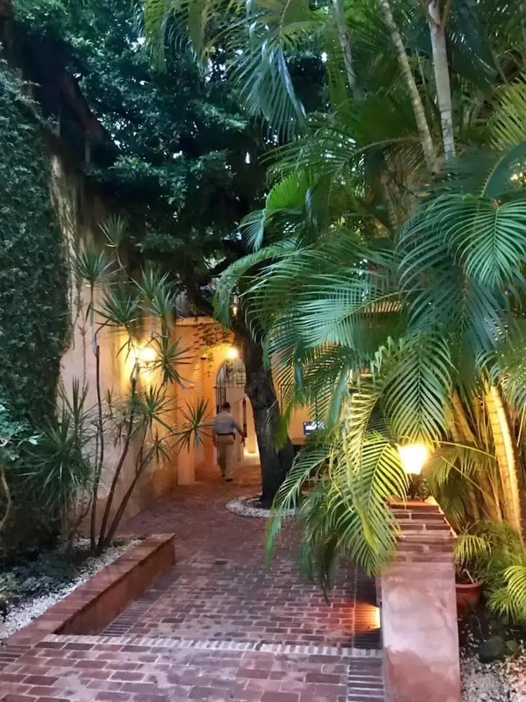 Foto - Paseo Colonial - Leo's Favorite #8