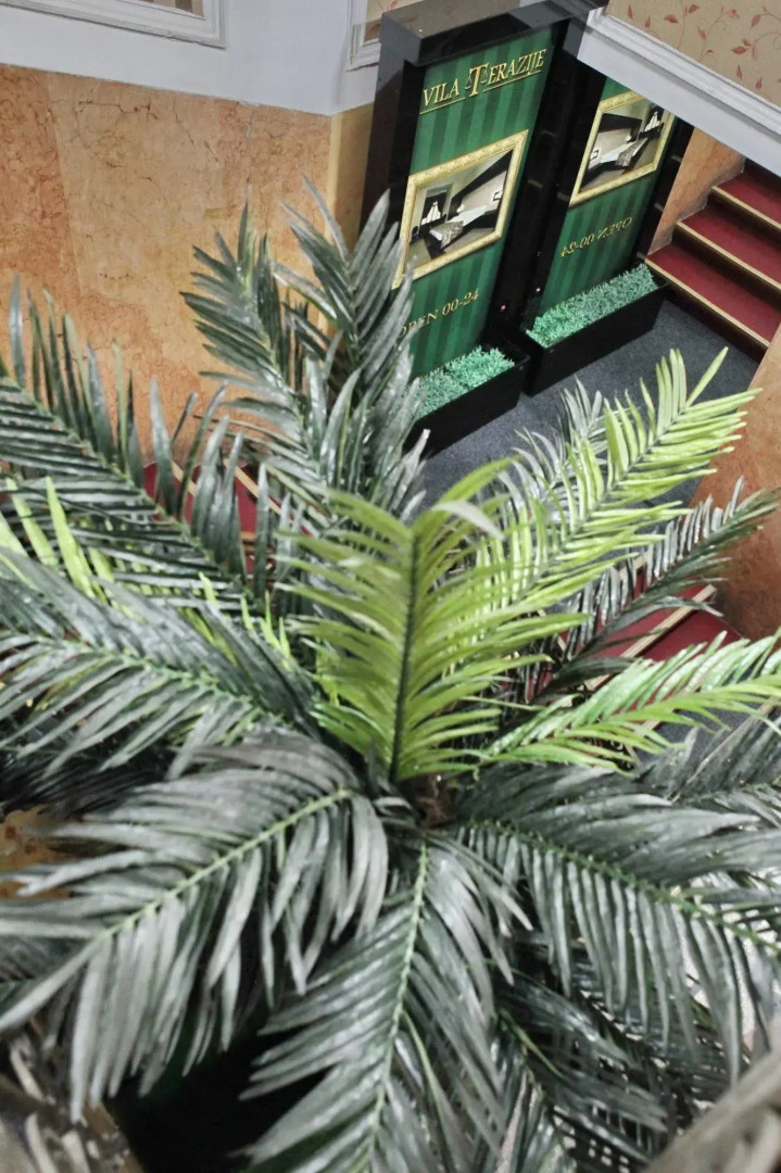 Photo - Vila Terazije