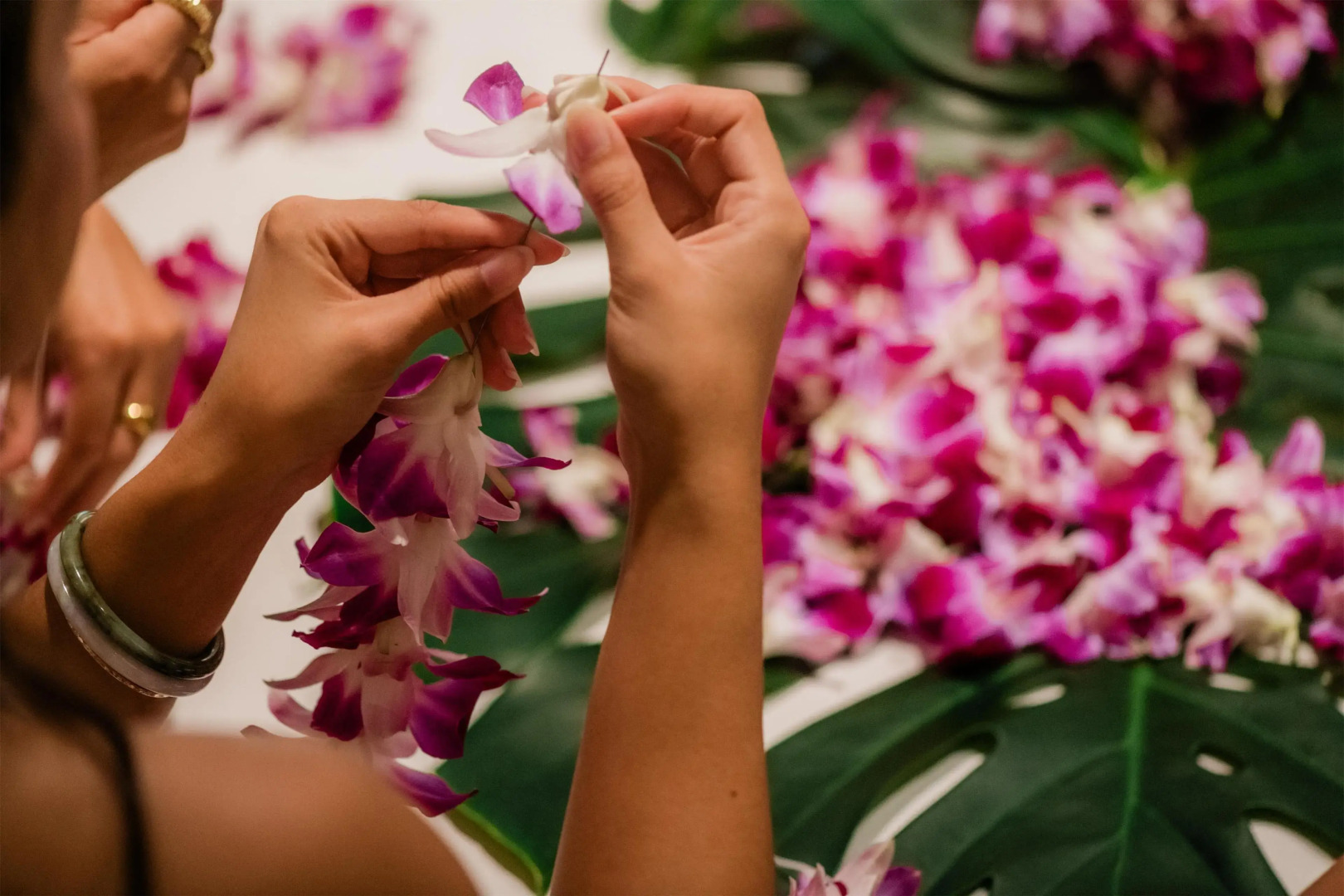 Foto - OUTRIGGER Waikiki Paradise Hotel