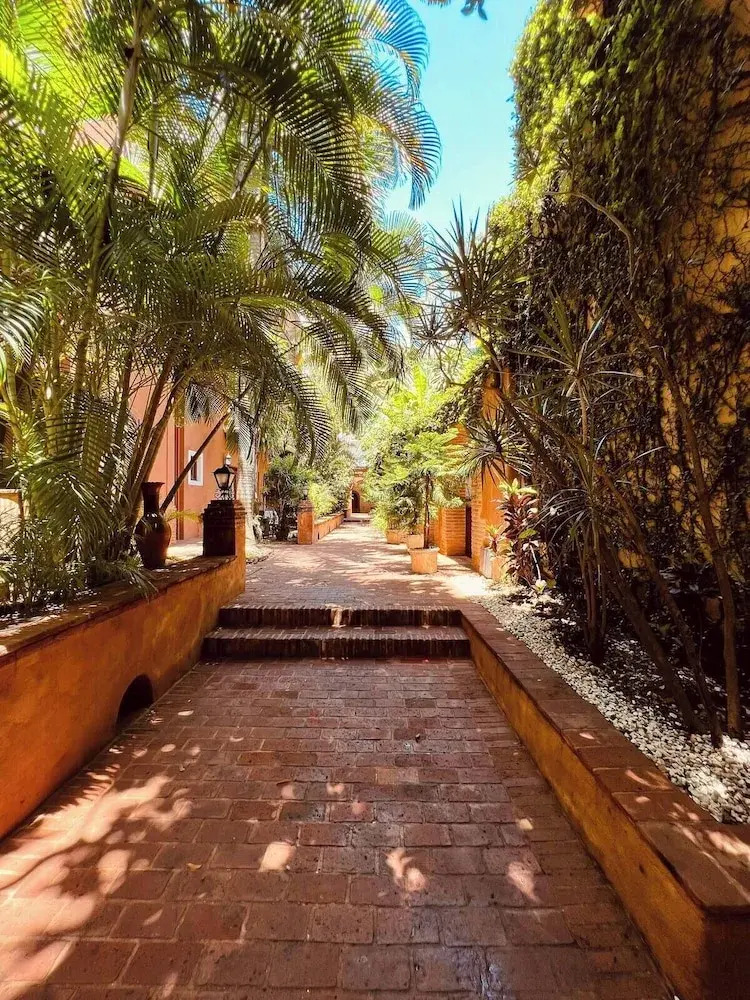 Foto - Paseo Colonial - Leo's Favorite #8