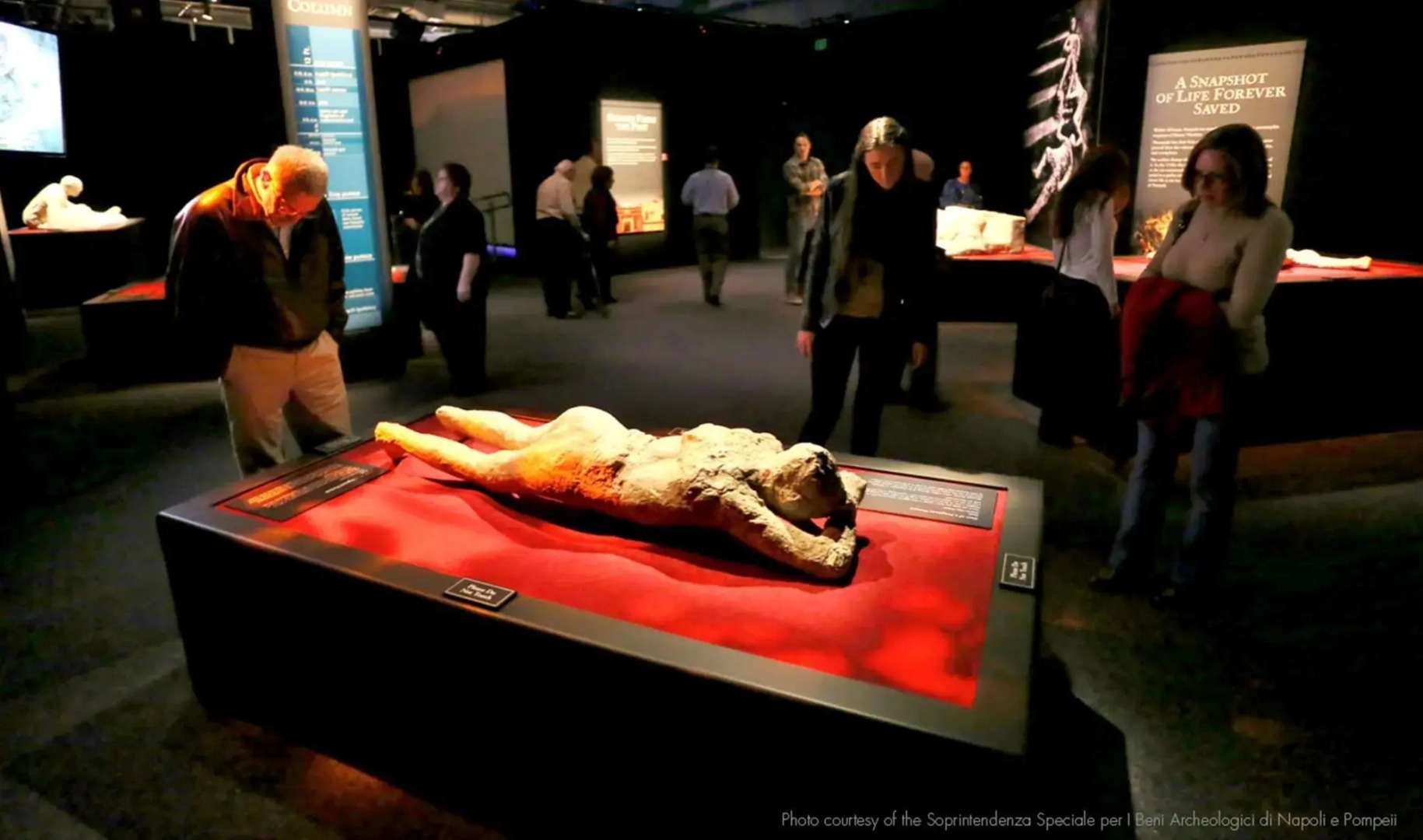 Foto - Hilton Los Angeles-Universal City