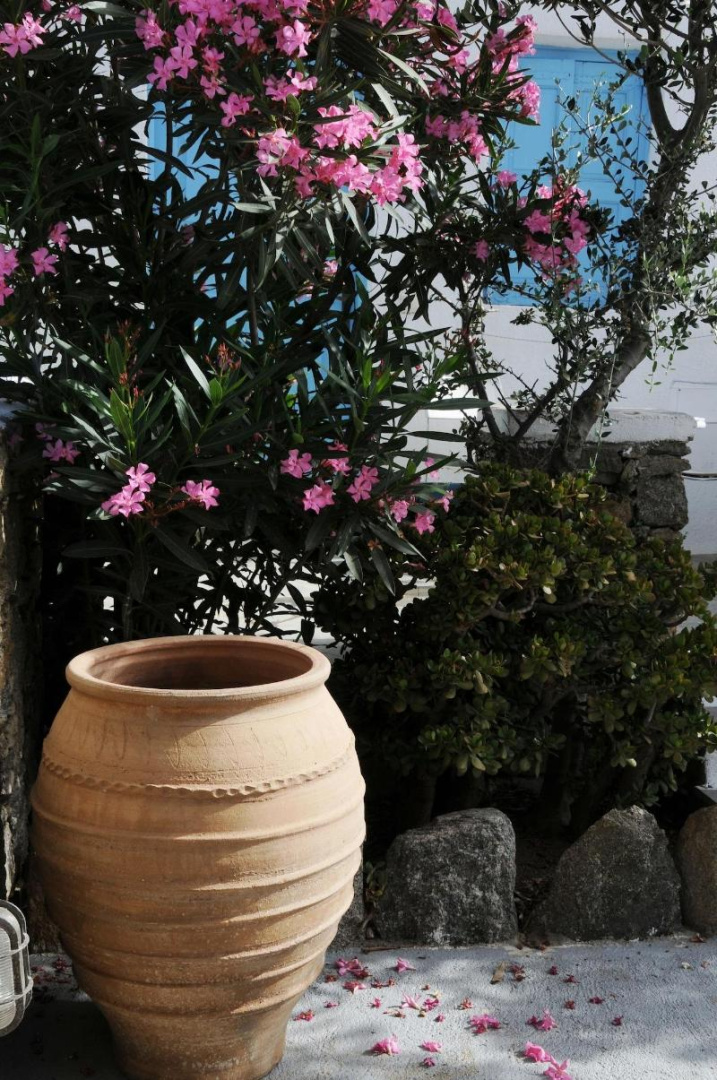 Photo - Katerina View Mykonos