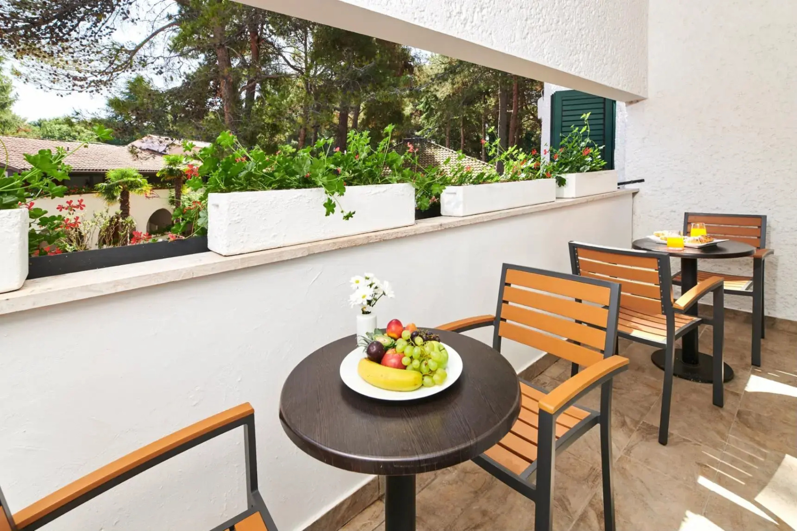 Photo - Villa Galijot Plava Laguna