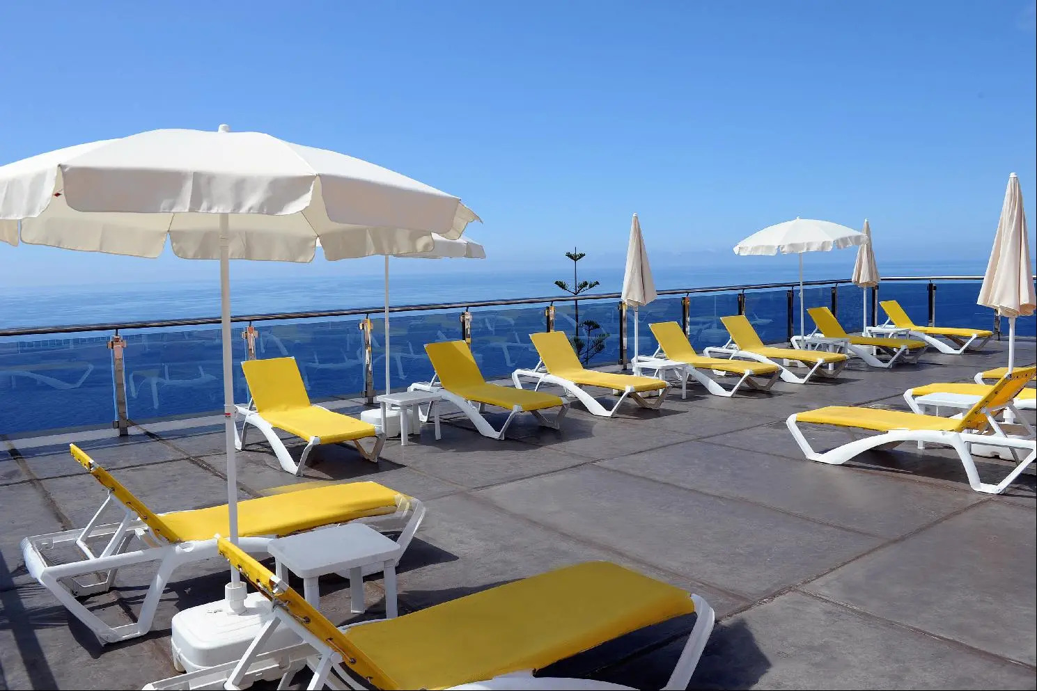 Foto - Ocean Gardens