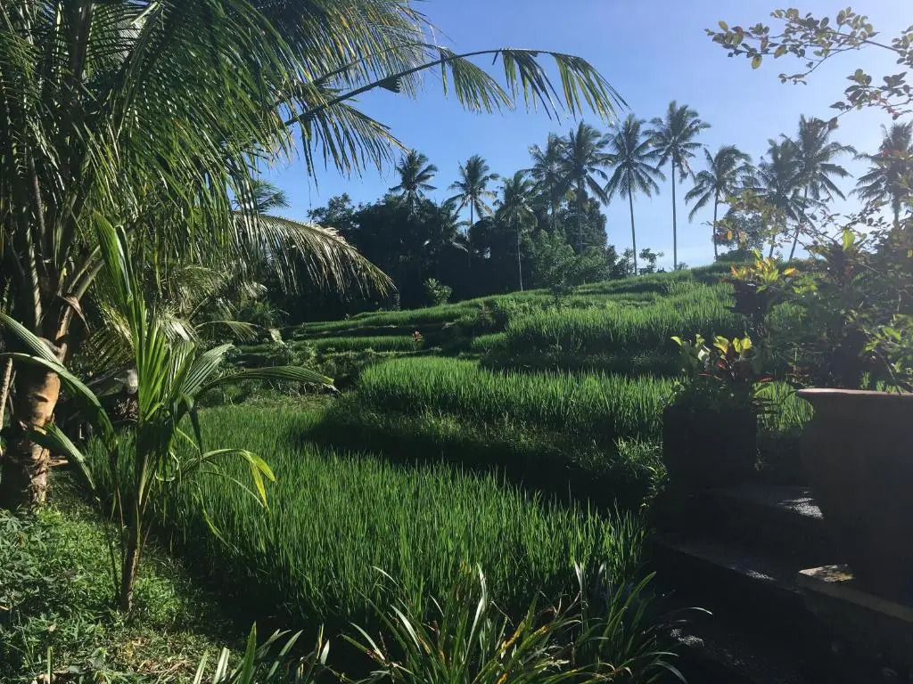 Foto - Puri Raya Villa