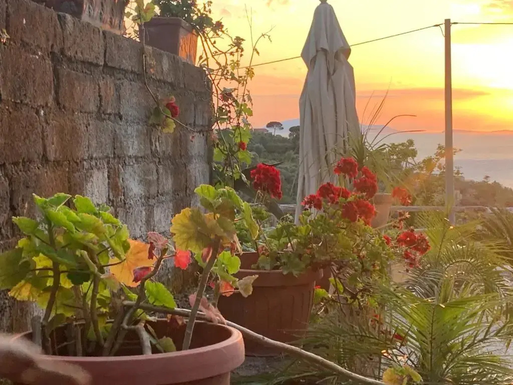 Foto - Villa Giovanna