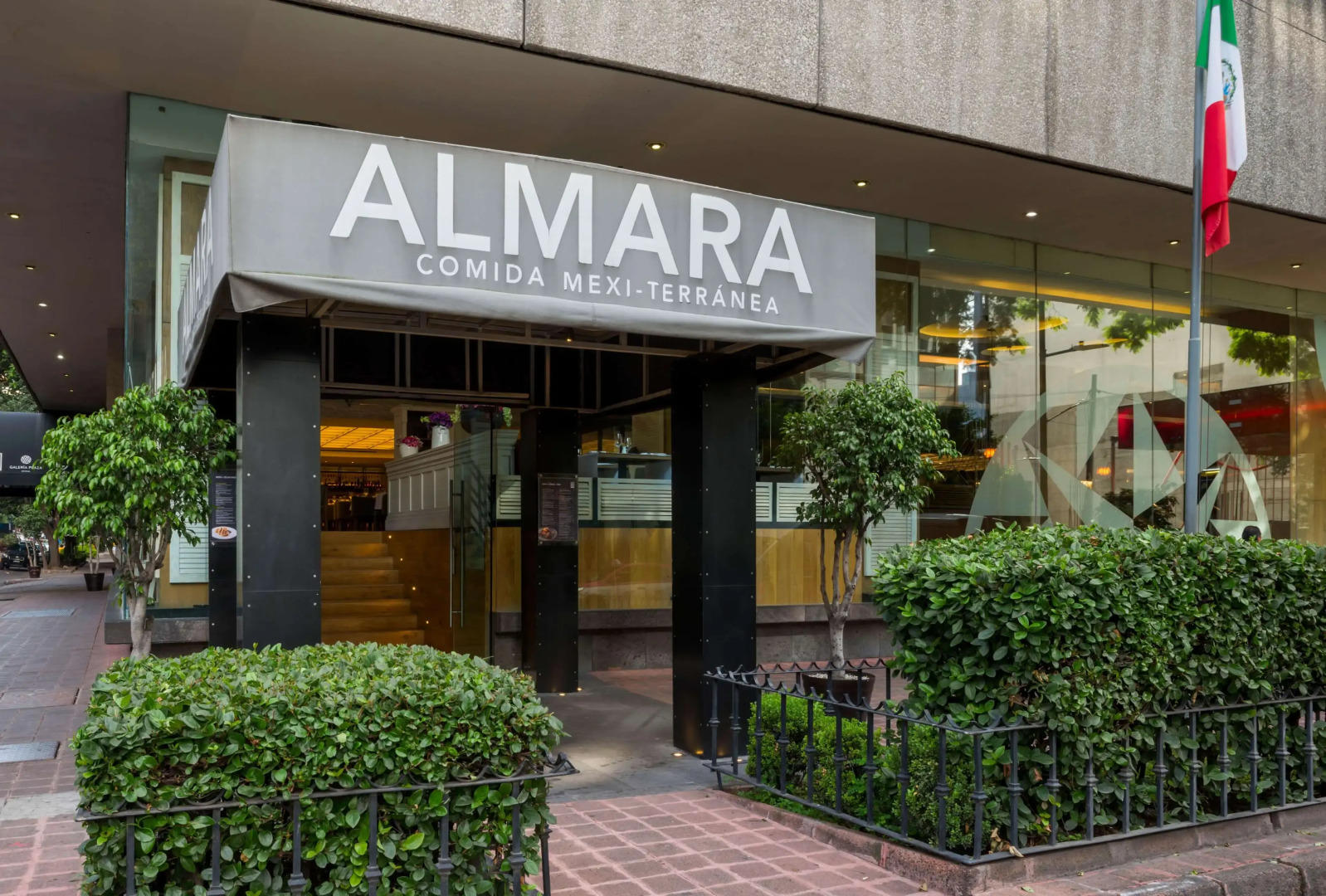 Foto - Galeria Plaza Reforma