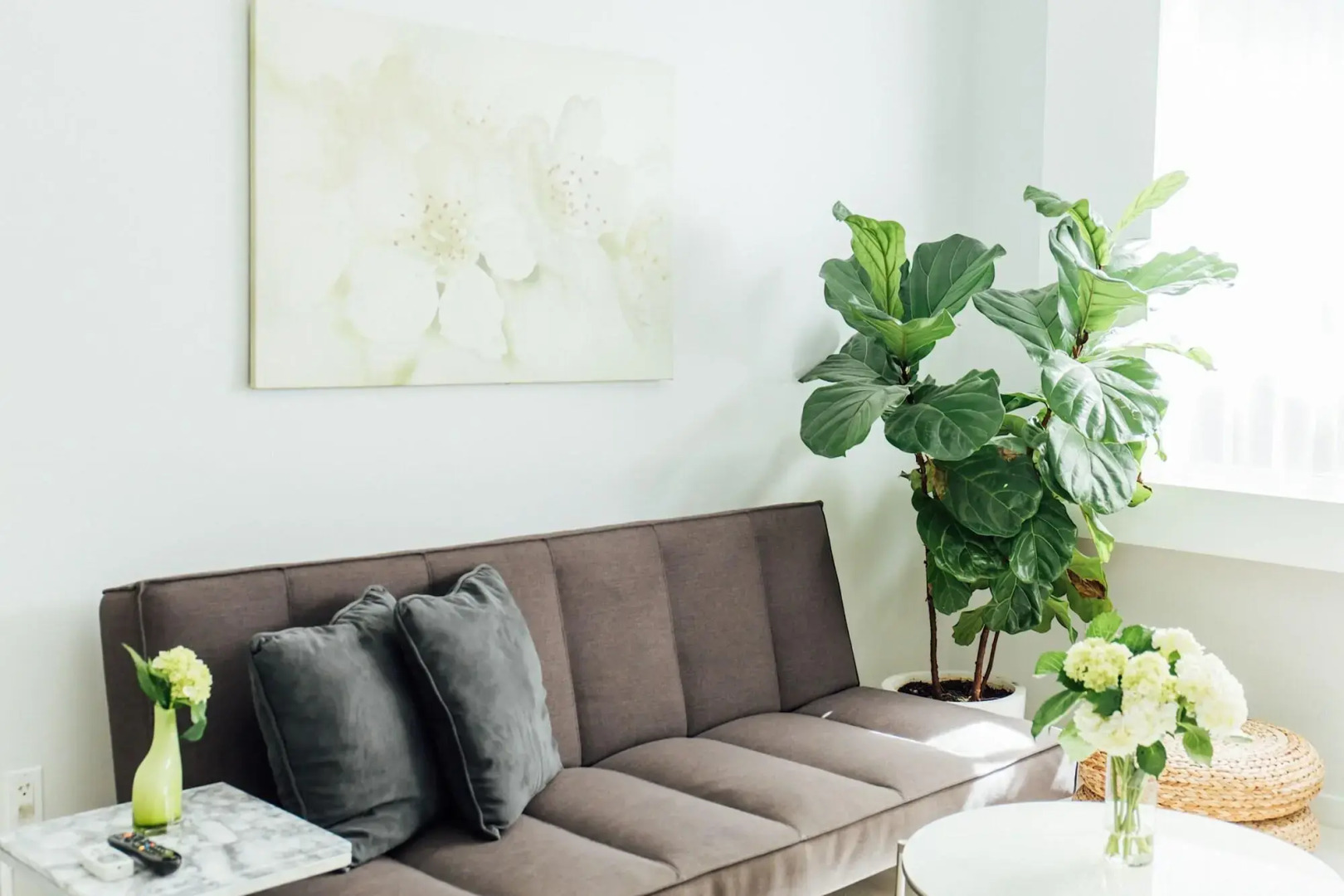 Foto - Riviere South Beach Hotel