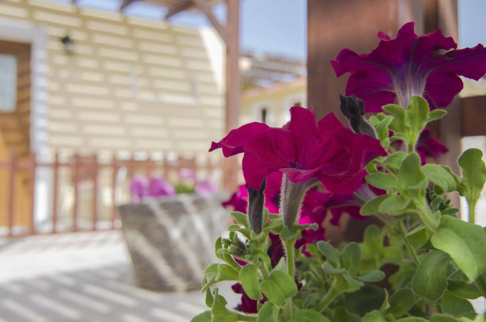 Photo - Smaragdi Hotel