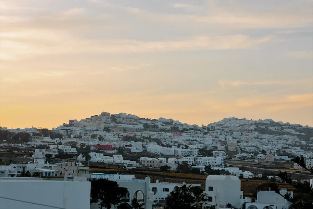 Foto - Seven Grapes - Karterados