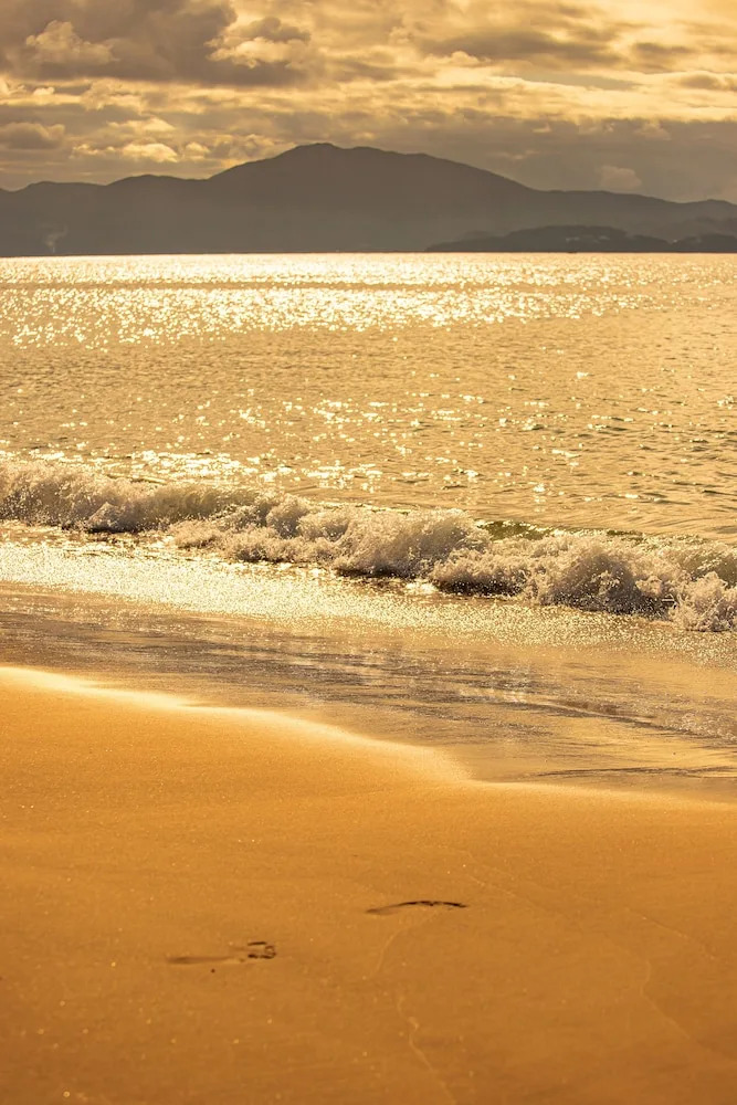 Foto - Jurerê Beach Village Studios Para Temporada