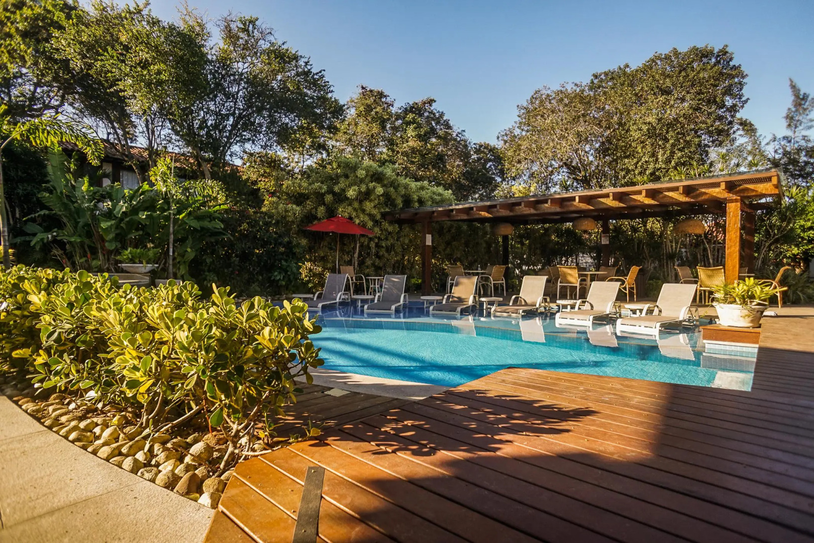 Photo - Corais e Conchas