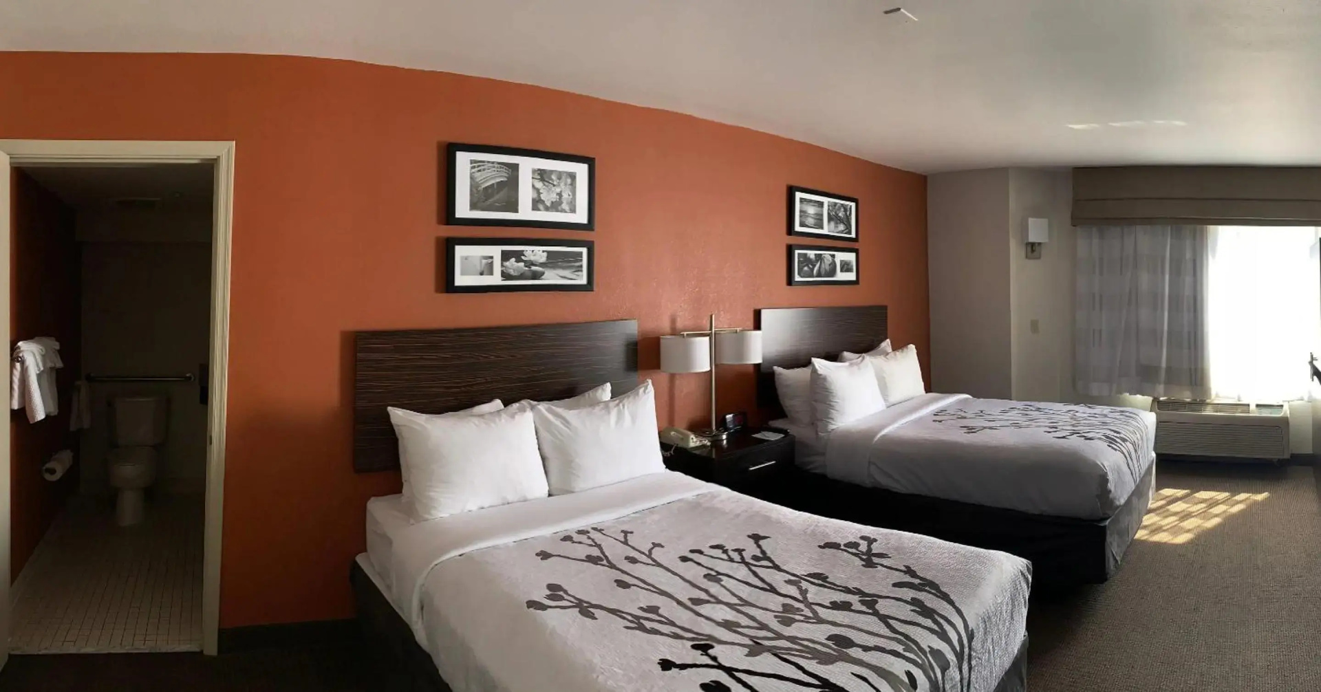 Foto - Sleep Inn Phoenix North I-17